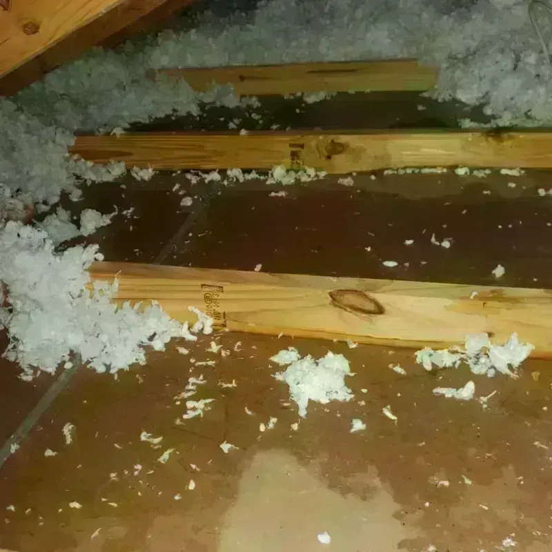 Attic Water Damage in Franklin, LA