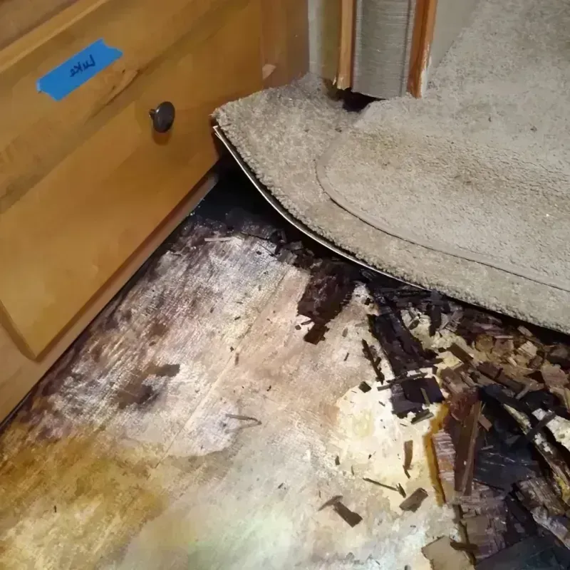 Wood Floor Water Damage in Franklin, LA